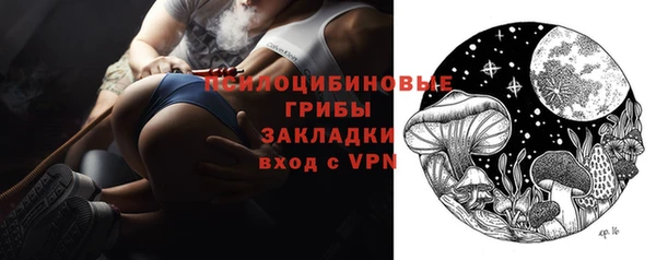 гашик Арсеньев