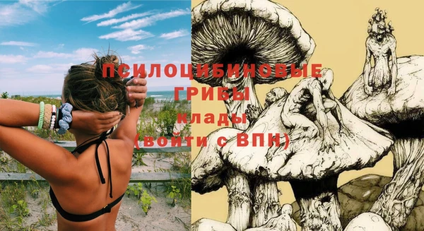 гашик Арсеньев